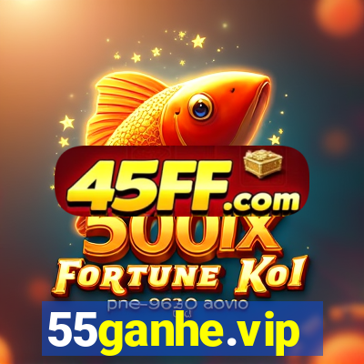55ganhe.vip