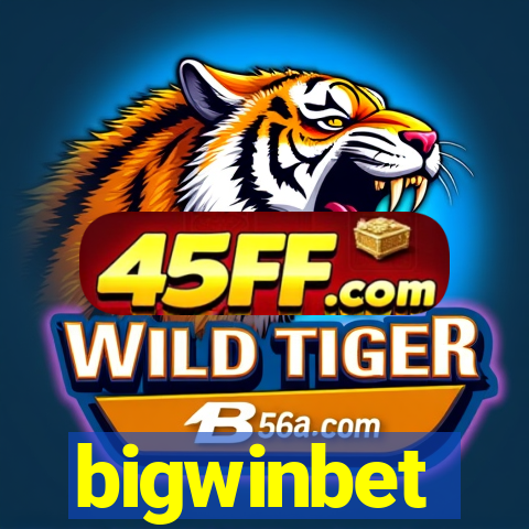 bigwinbet