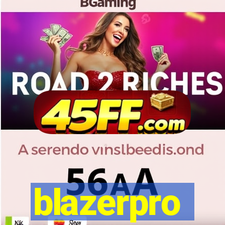 blazerpro