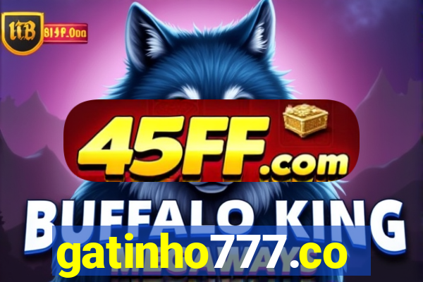 gatinho777.co