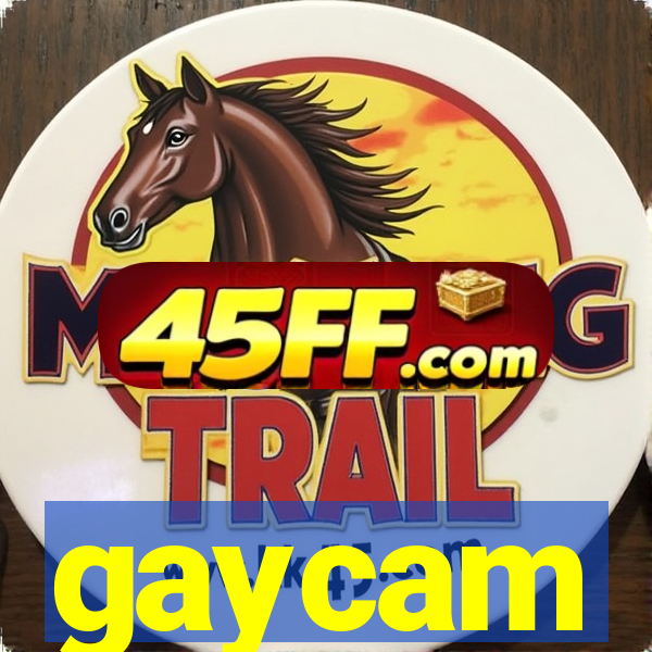gaycam