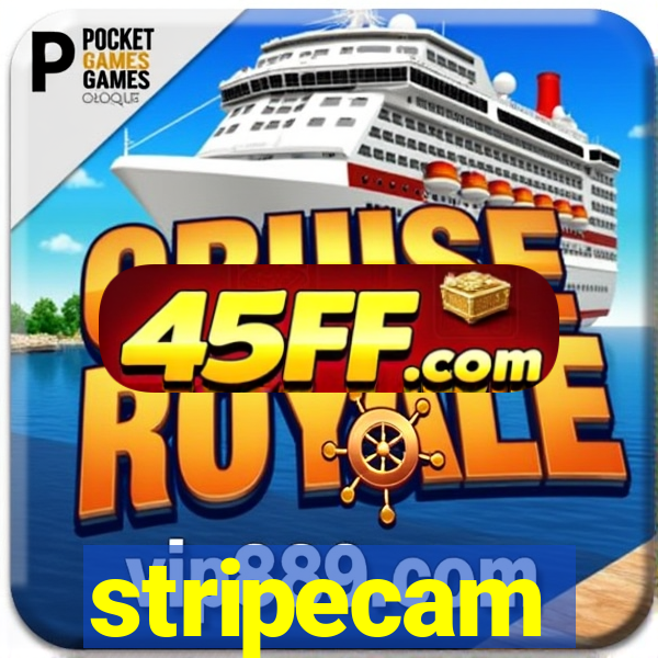 stripecam